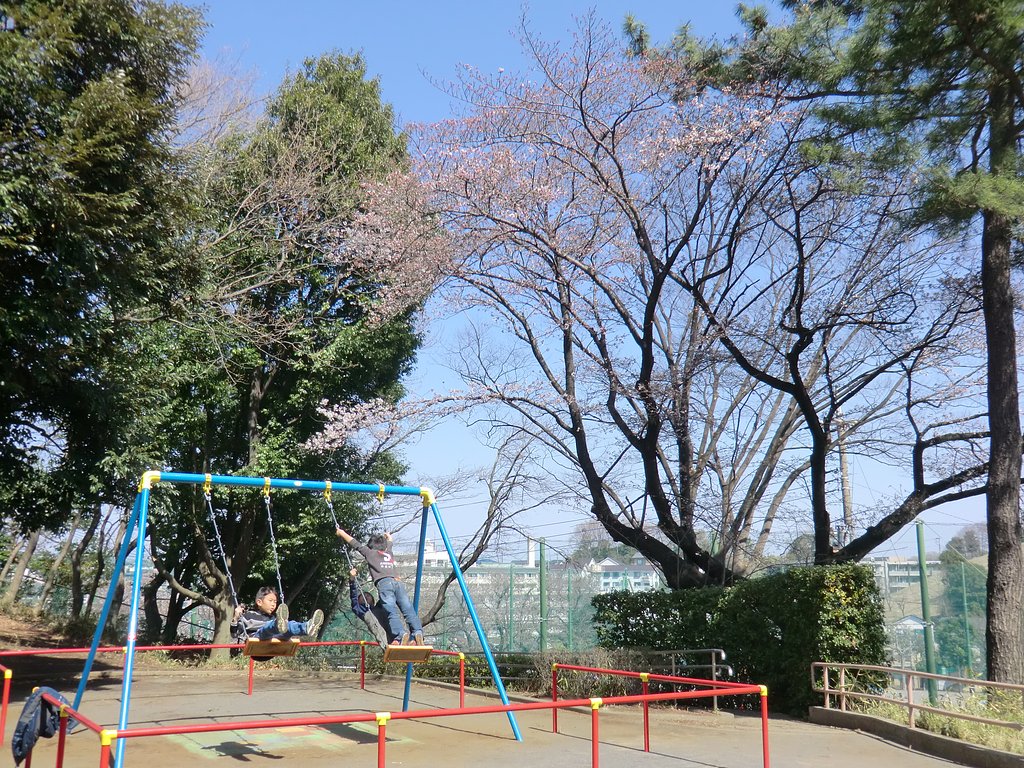 桜と子供たち