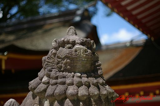 狛犬（吽形）