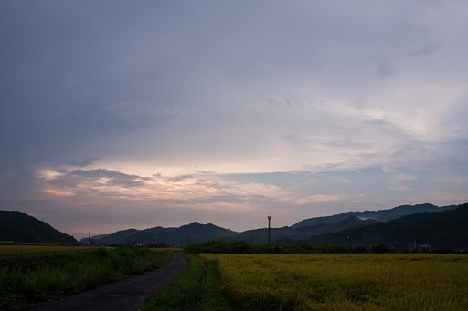 ちょこっと夕焼け!