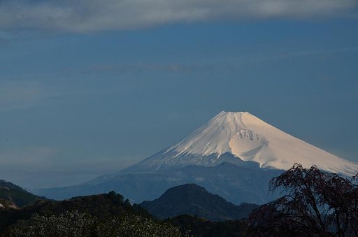 春富士