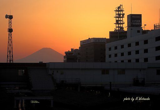 ぉお！！見えた！