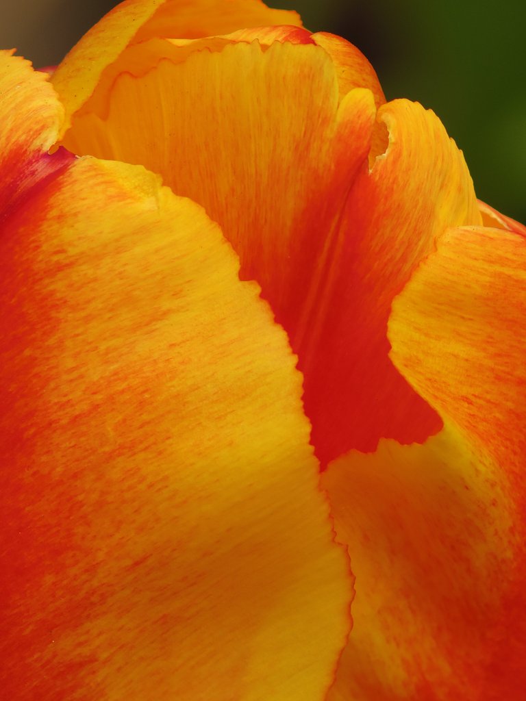 QとFA Macro 100mm f2.8