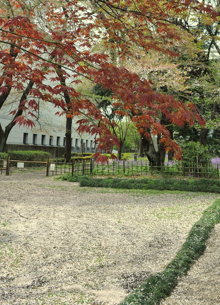 庭園風景