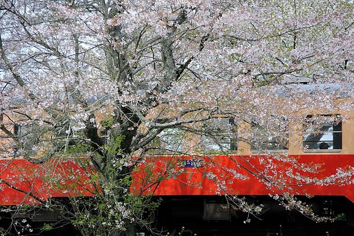 春の小湊鉄道
