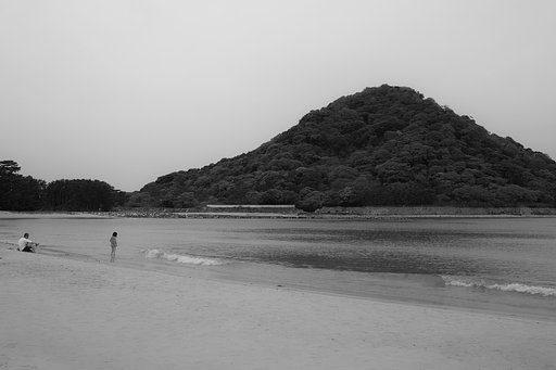 海