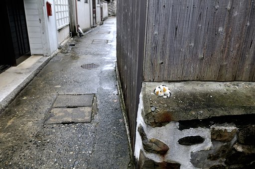 瀬戸の内海