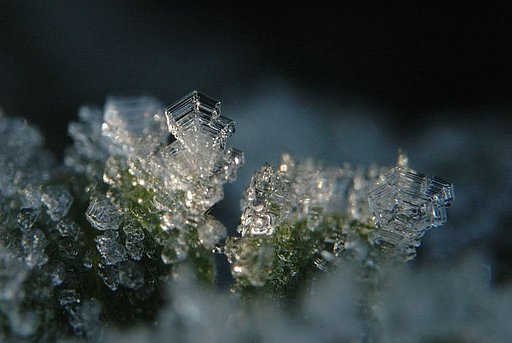 霜の結晶
