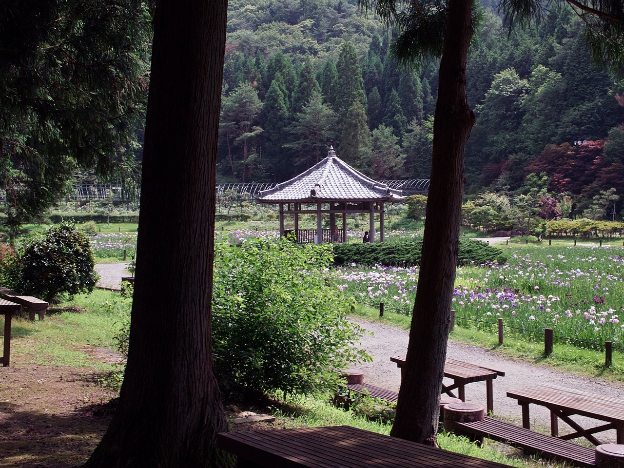 （わびさび）庭園