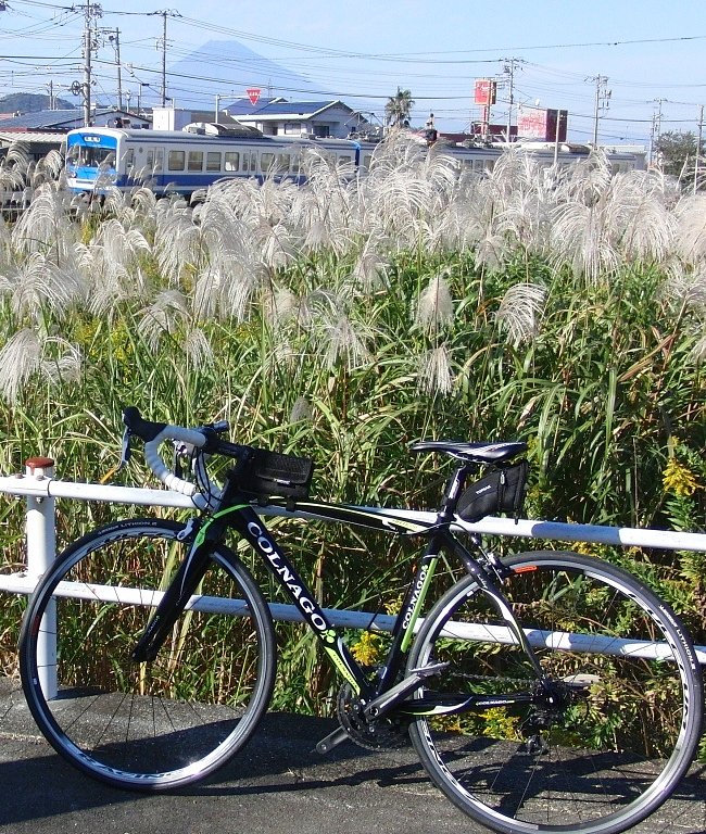 とても欲張り富士