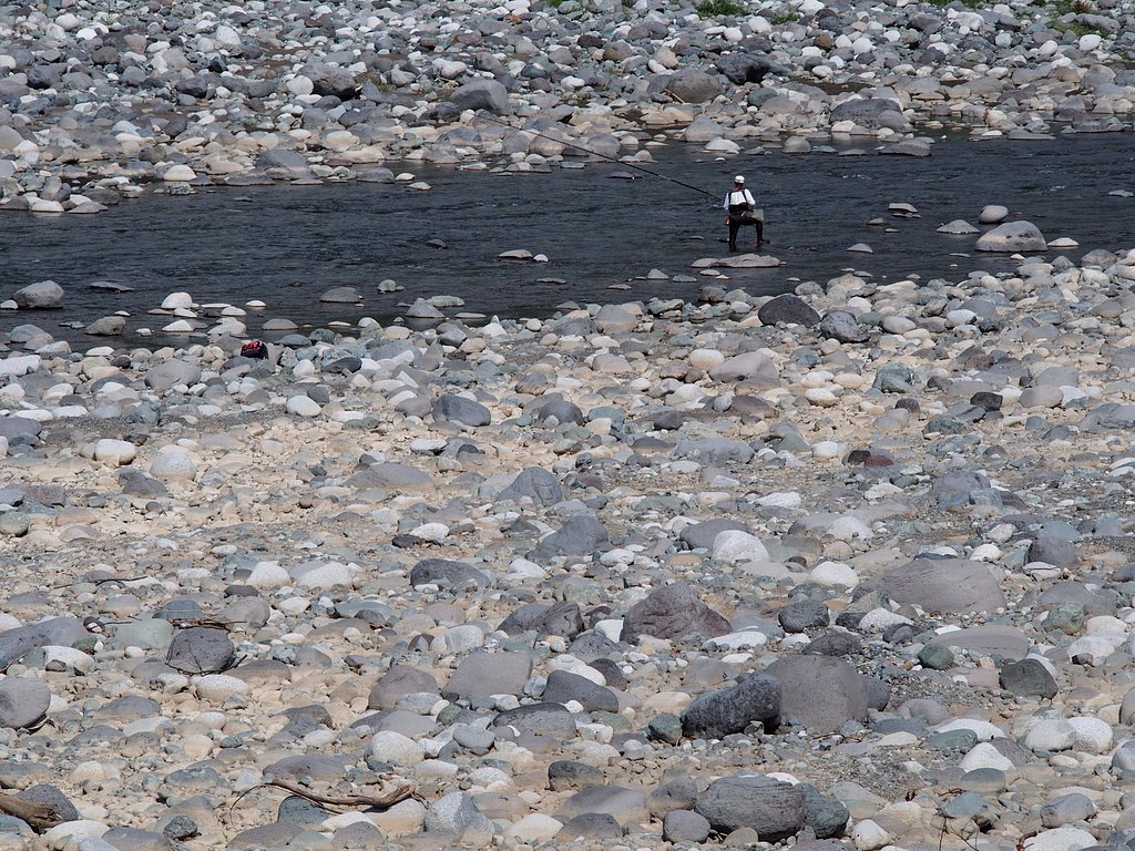 鮎釣り