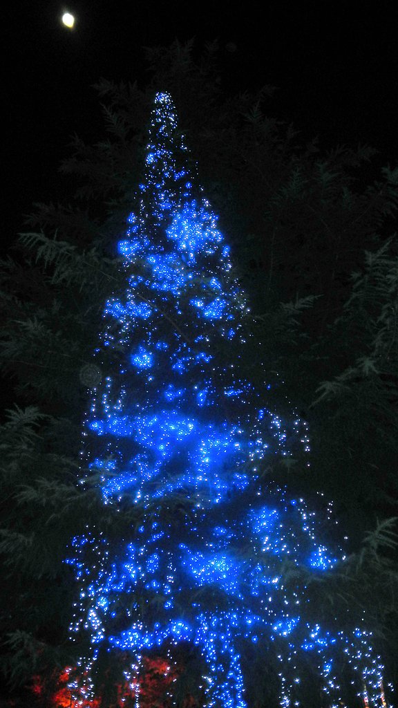 【ときめきＢＬＵＥ】月夜にきらめくBLUE