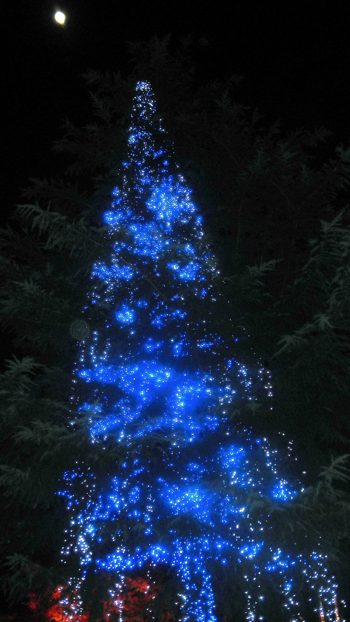 【ときめきＢＬＵＥ】月夜にきらめくBLUE
