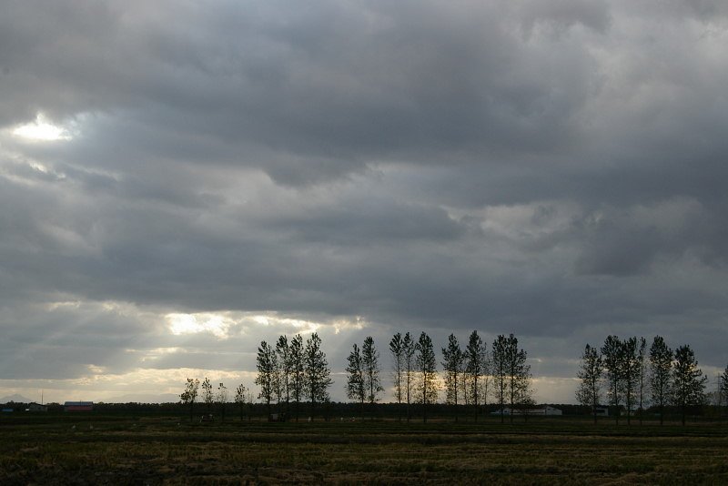 時雨れる空暗く