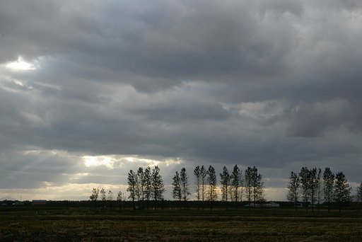 時雨れる空暗く