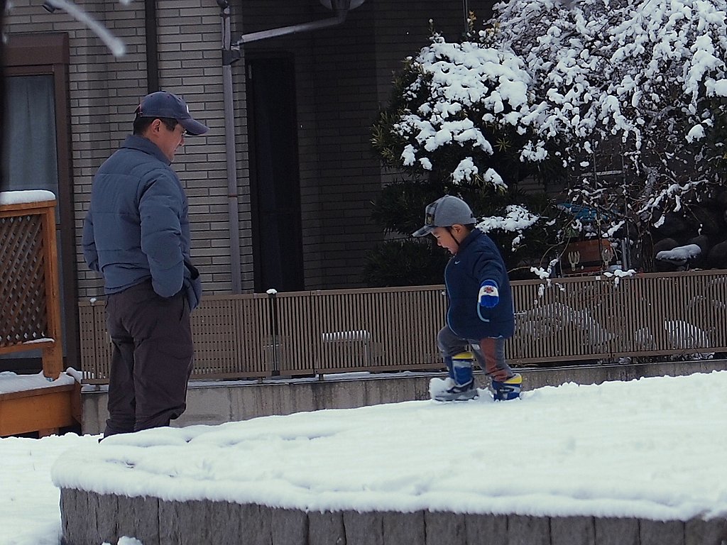 和みの雪