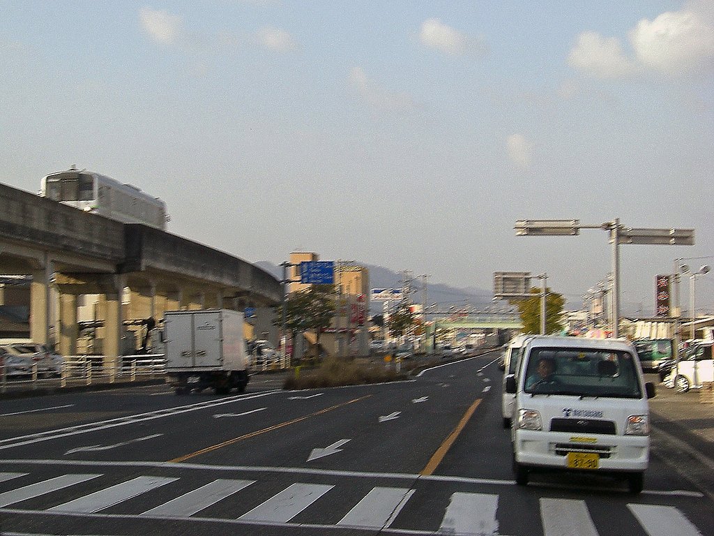 ピンボケ写真
