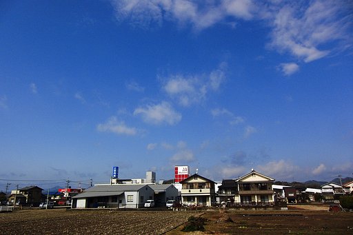 雨上がりだけど