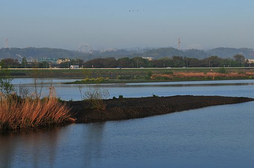 春の朝