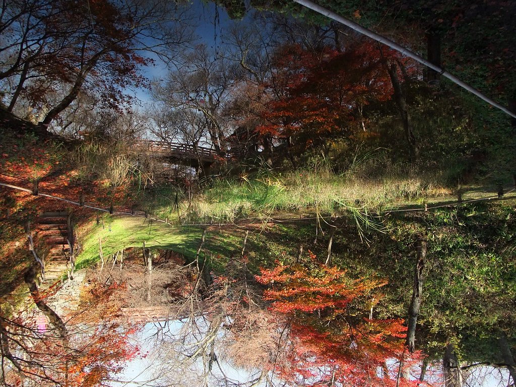 凹曲