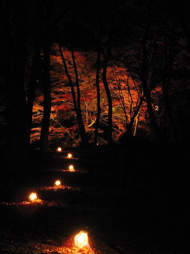 山中湖　紅葉