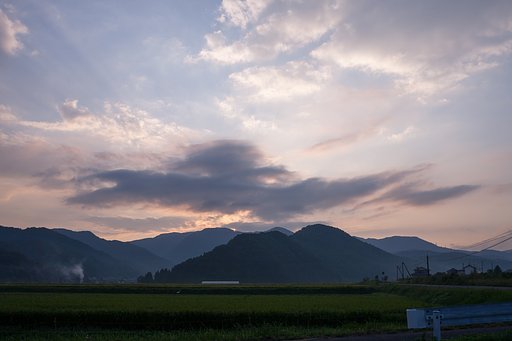 山頂の木の間からの朝日・・。
