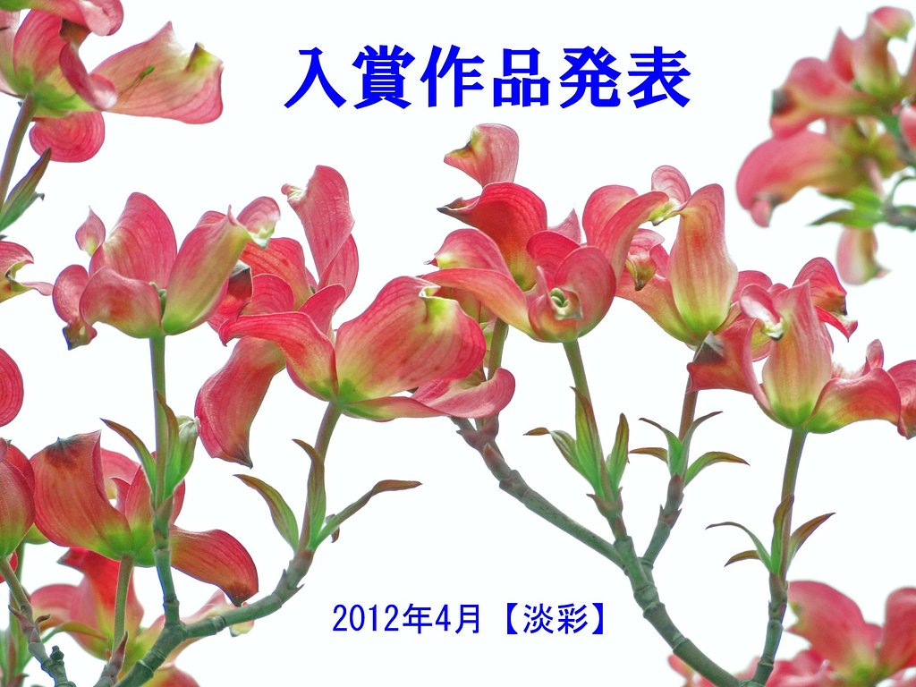 4月【淡彩】入賞作品発表