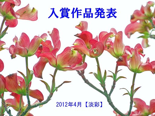 4月【淡彩】入賞作品発表