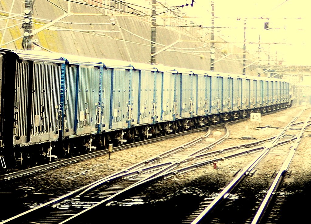 間もなく見納め　ワム貨物列車