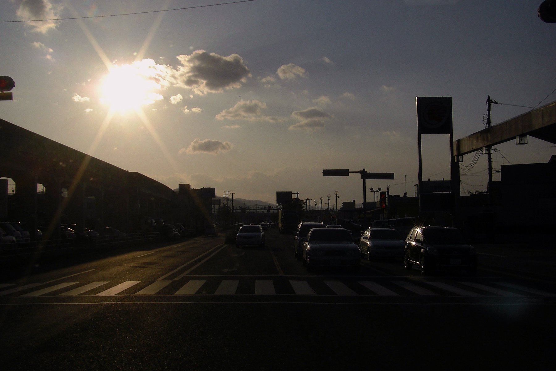 逆光その2