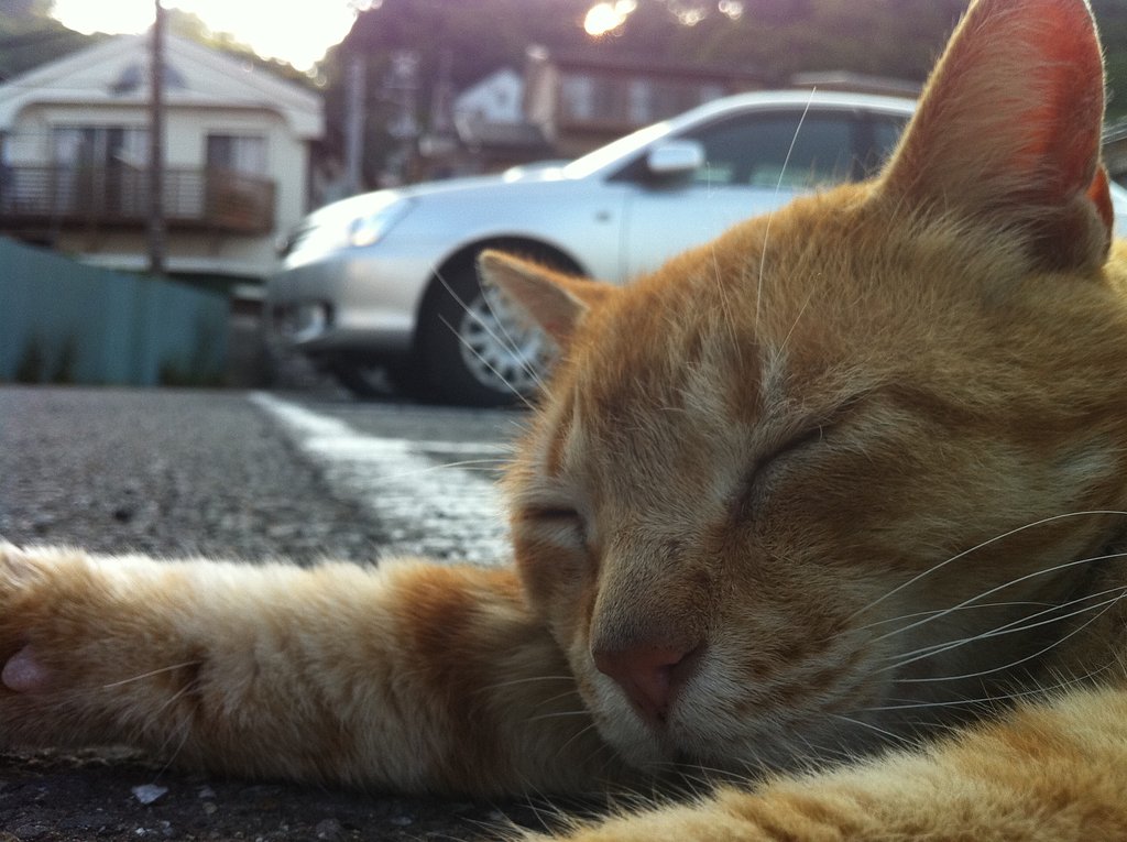 江ノ島の住民