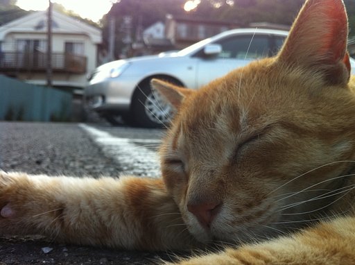 江ノ島の住民