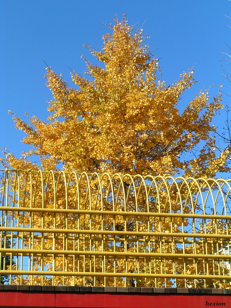 Yellow