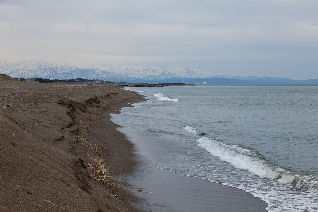 日本海