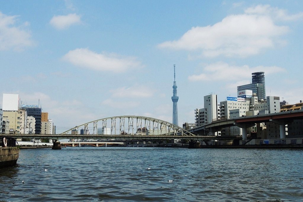 水上バスから・・・