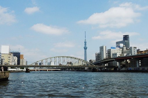 水上バスから・・・
