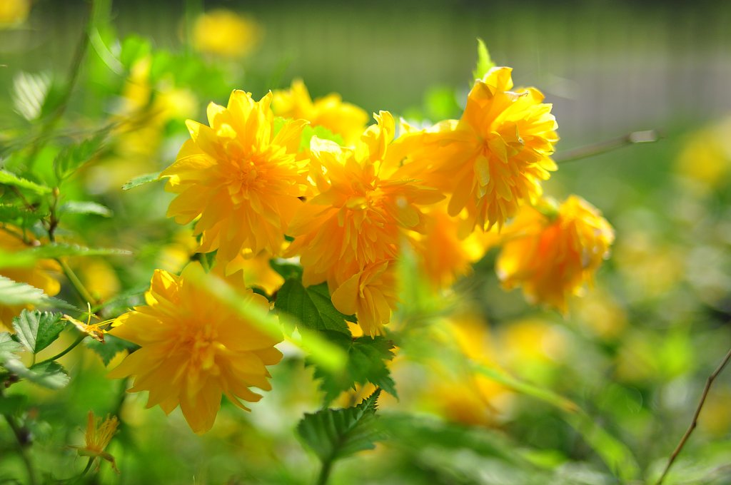 明るくもう一つ！