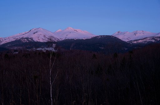 朝の光