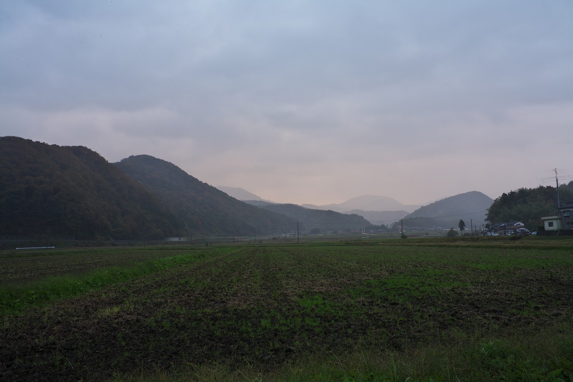 大雨降りの朝。