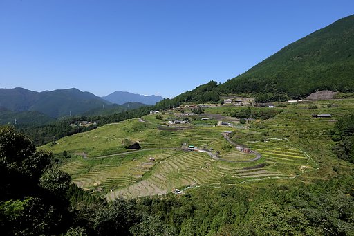 丸山千枚田