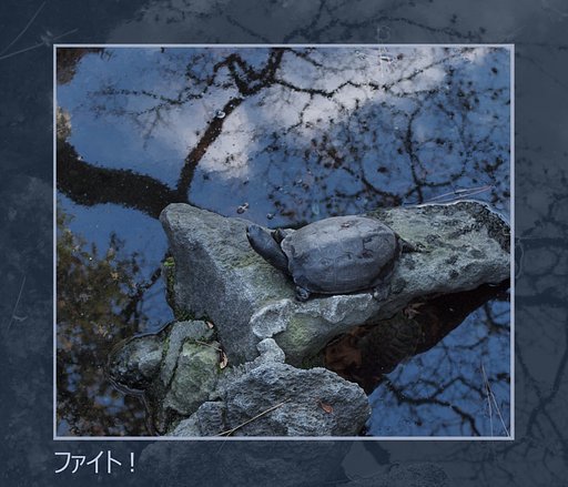 【この一曲】ファイト！