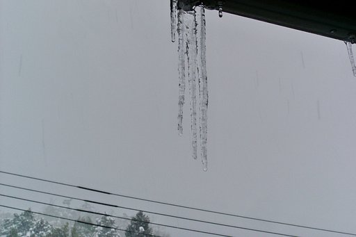 ツララのプレゼント。