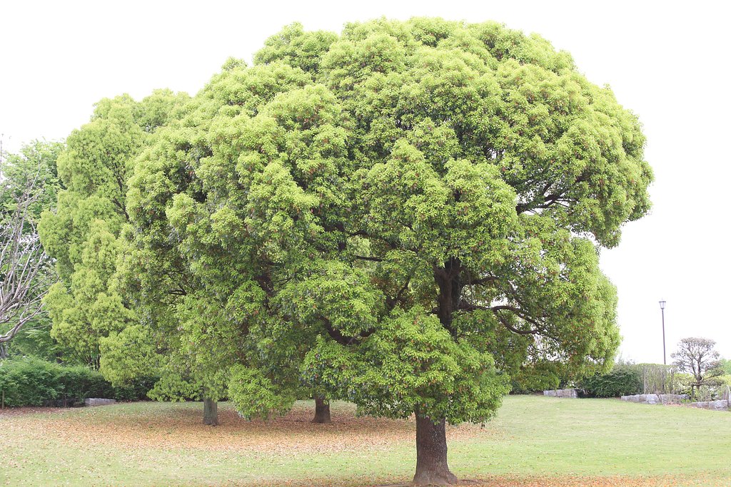 存在感