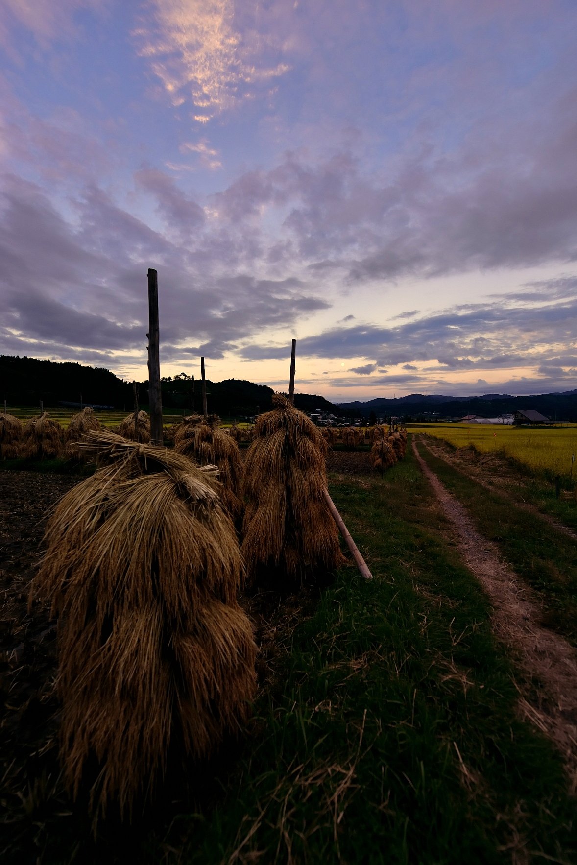 夕暮れ