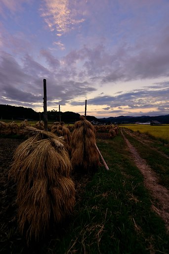 夕暮れ