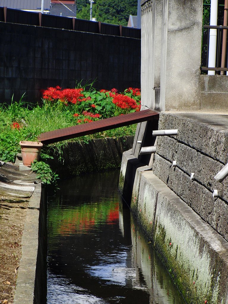 観っ付けた〜