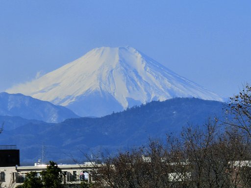 フジヤマ