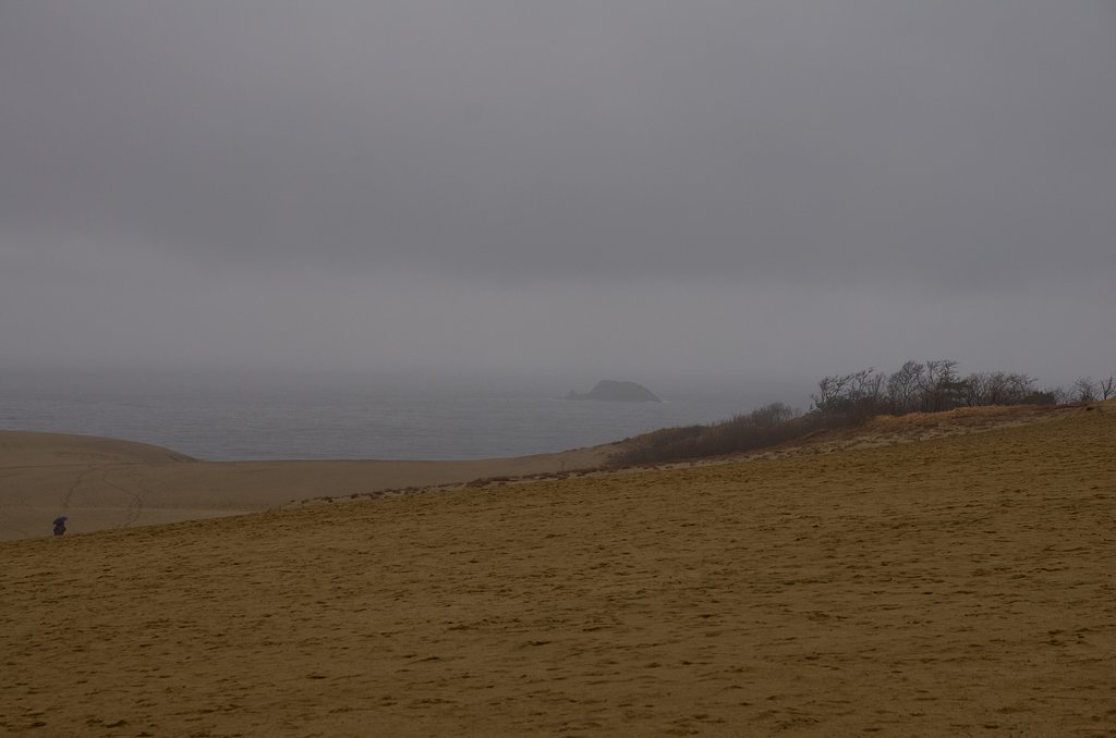 砂丘沖の小島。