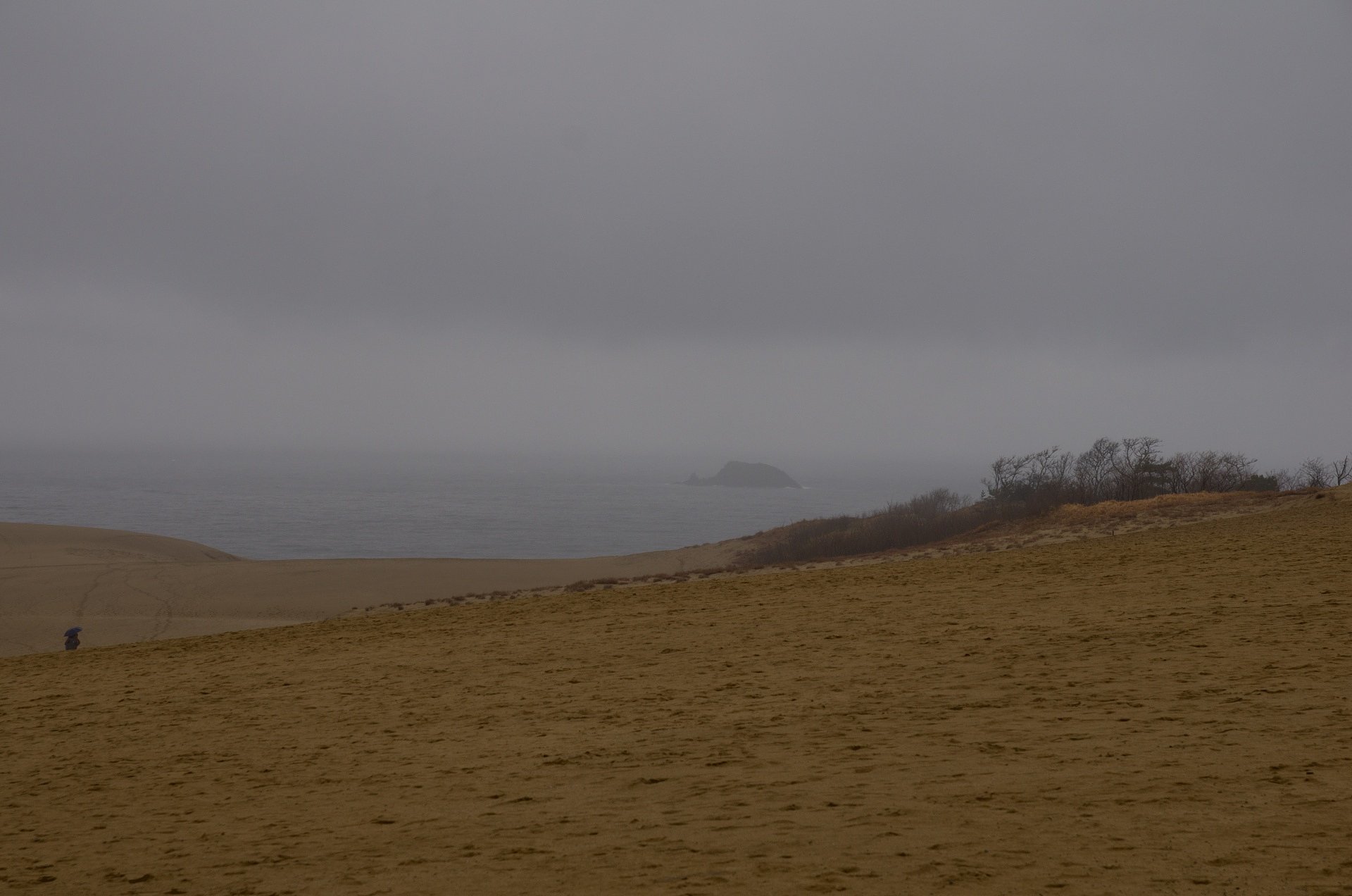 砂丘沖の小島。
