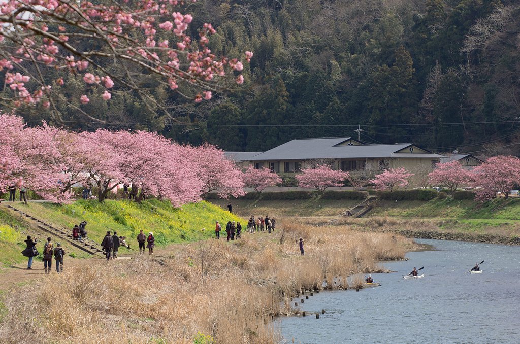 春の川辺