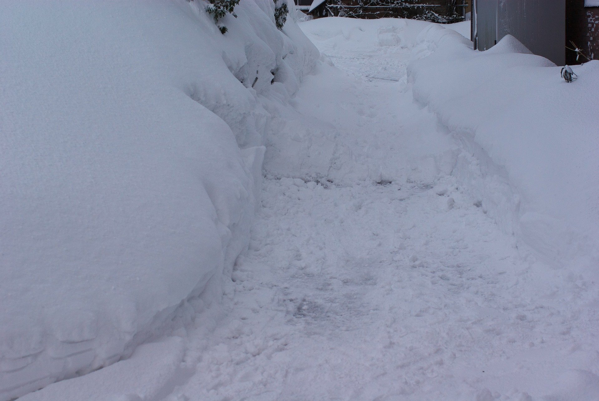 一日分(24h)分の雪!